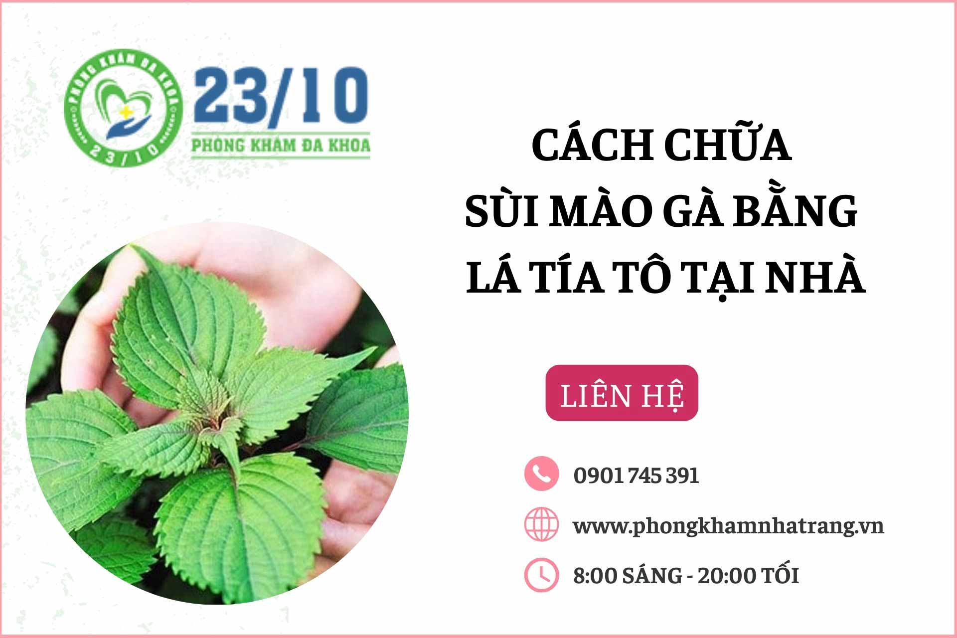 Chữa sùi mào gà tại nhà bằng lá tía tô