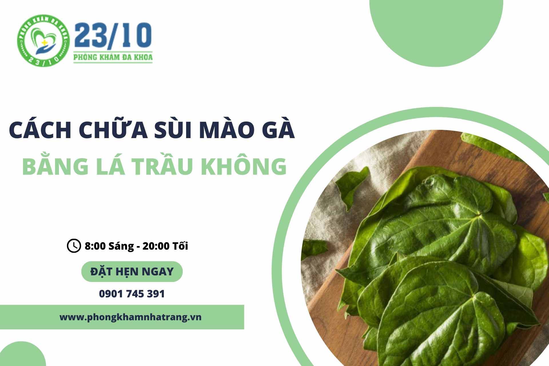 Chữa sùi mào gà tại nhà bằng lá trầu không