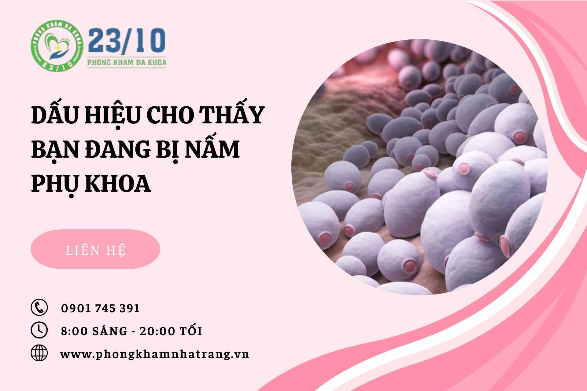 Dấu hiệu cho thấy bạn đang nhiễm nấm phụ khoa