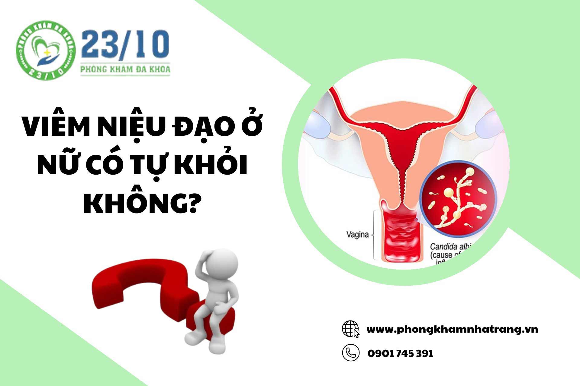 Viêm niệu đạo ở nữ có tự khỏi không?