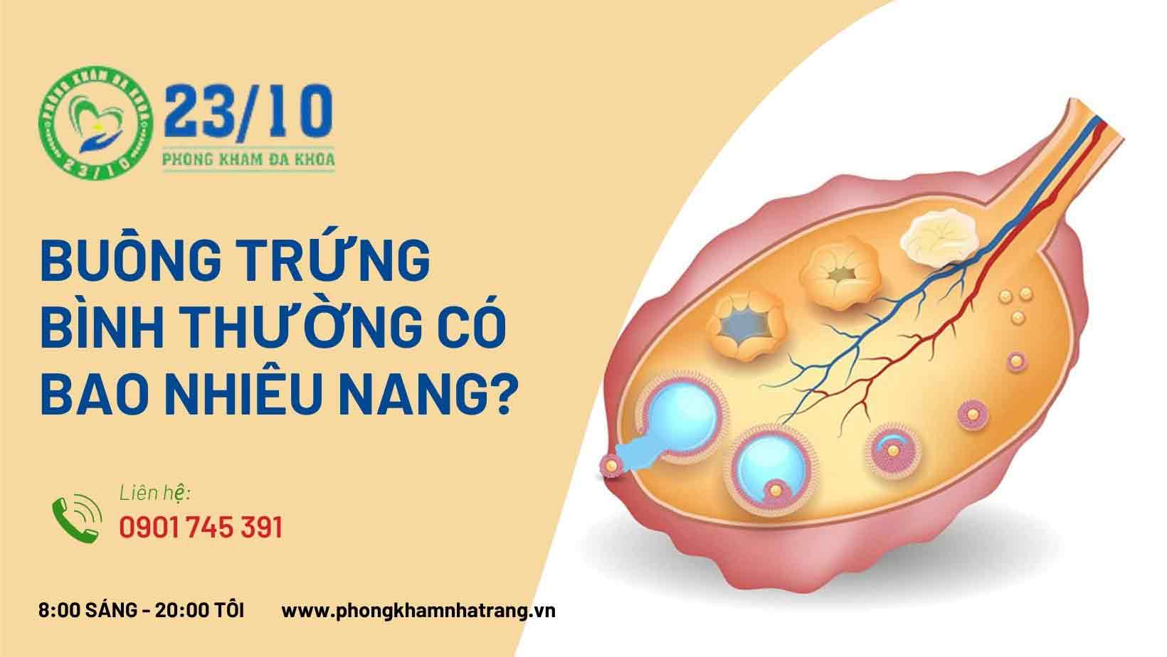  Buồng trứng bình thường có bao nhiêu nang?
