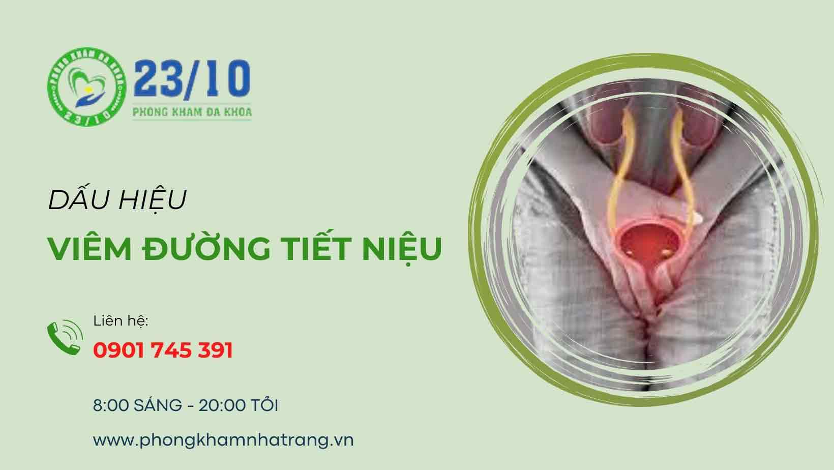 Tại sao bạn lại bị viêm đường tiết niệu?