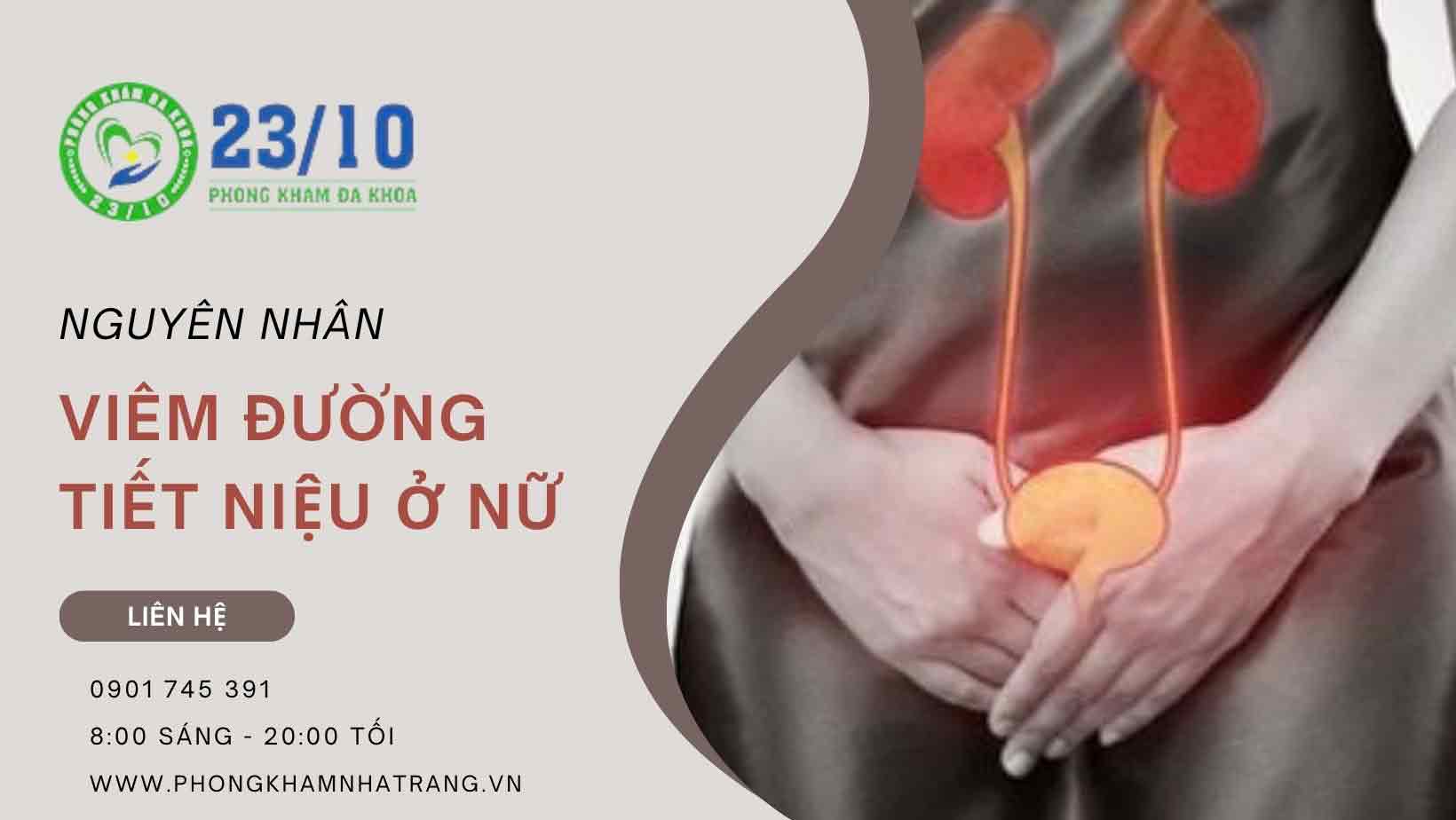 Những nguyên nhân chính gây viêm đường tiết niệu