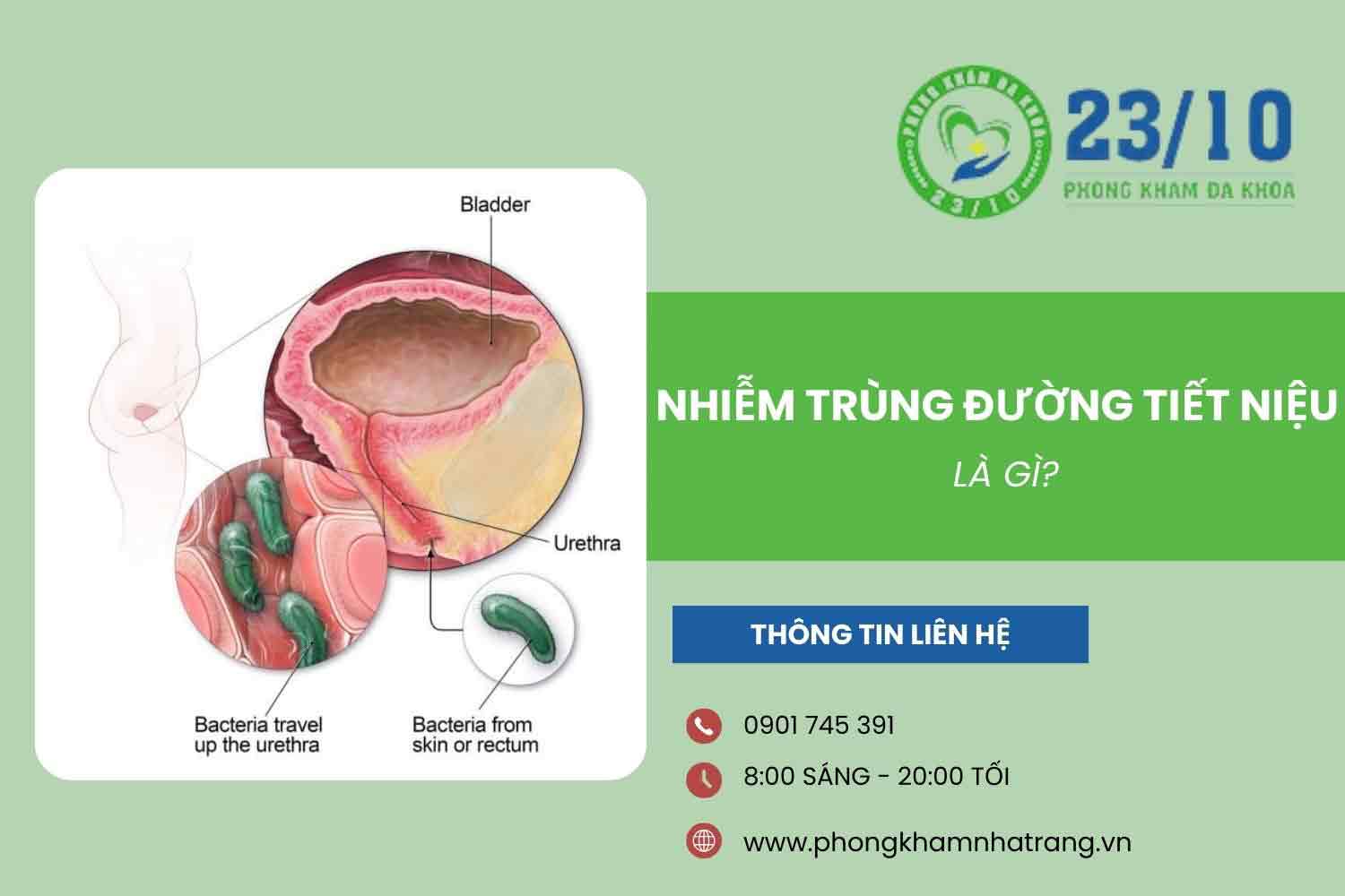 Nguyên nhân chính gây ra bệnh viêm đường tiết niệu