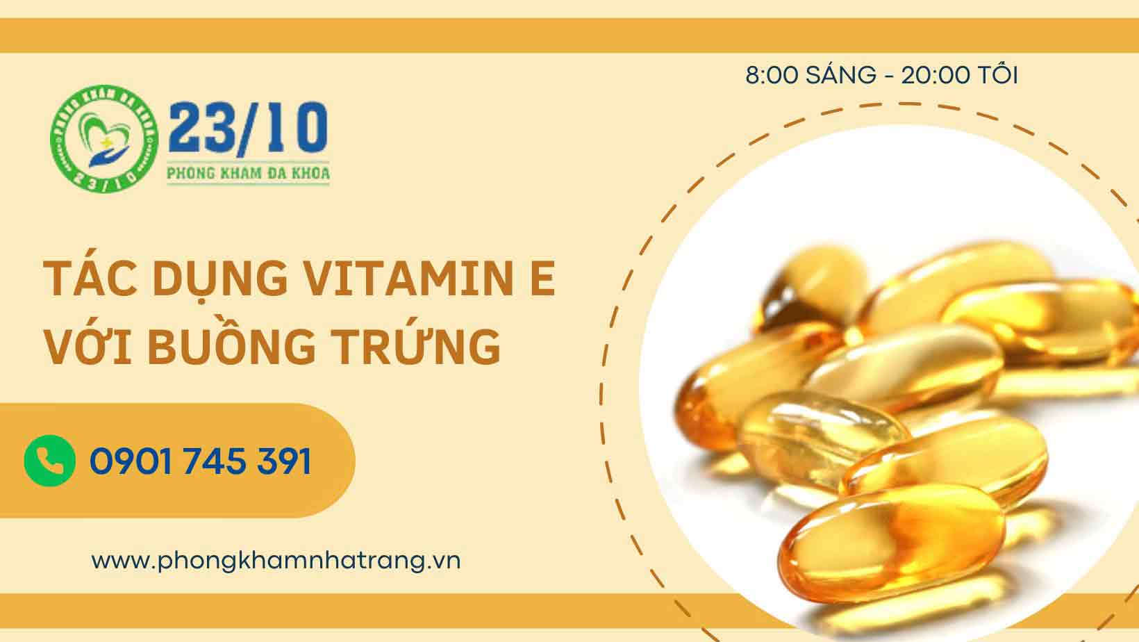 Những tác dụng của vitamin e với buồng trứng nữ giới
